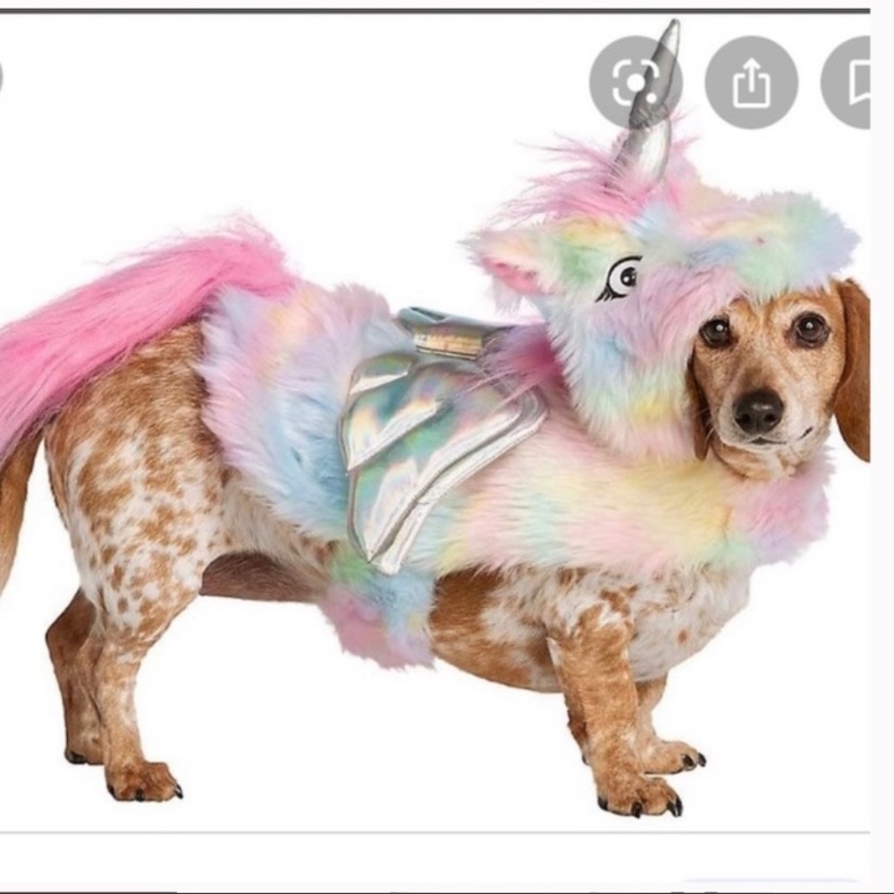 Unicorn dog costume